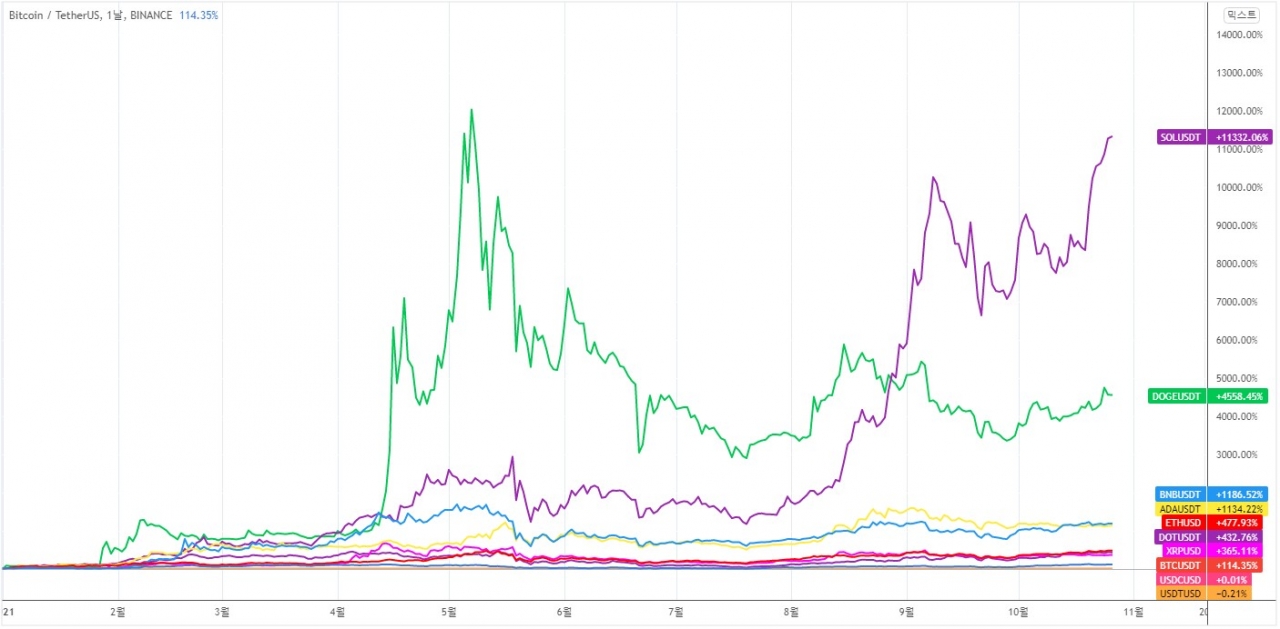 에임리치] 시장은 알트코인 장세로… 단기 시장 등락 가능성은 여전 < 칼럼 < 오피니언 < 기사본문 - 블록체인투데이
