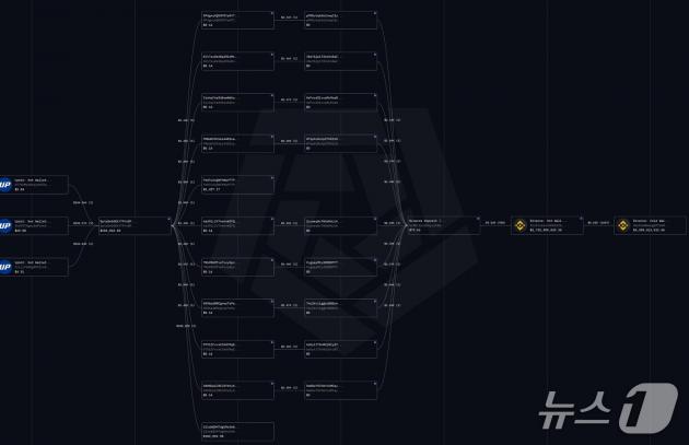 업비트 솔라나(SOL) 지갑 여러 개에서 빠져 나간 솔라나가 하나의 지갑으로 모였다가, 다시 여러 개의 지갑으로 흩어진 뒤 바이낸스로 향한 정황. 출처=독자 제보 자료(블록체인 데이터 업체 아캄 활용)